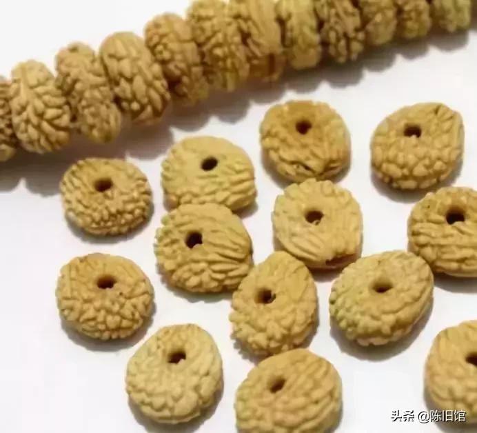 最值得玩的菩提子,真正的菩提子
