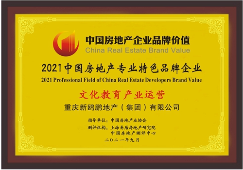 新鸥鹏地产发展模式,新鸥鹏集团房地产怎么样