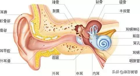鎻愰啋骞磋交浜哄埆鎷呭績澶村彂,骞磋交浜鸿涓嶈鎷呭績澶村彂