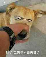 资源网站你们懂得!嘿嘿嘿