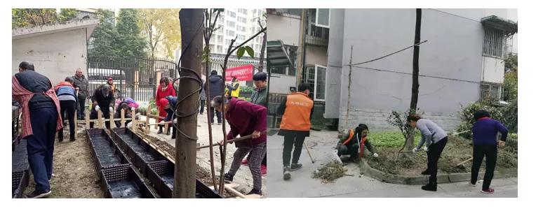 从无序到有序的实验,从无序走向有序叫什么