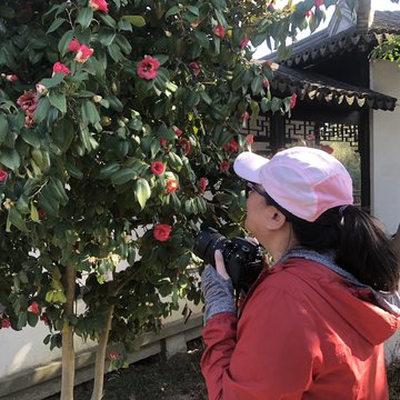 带你云端旅行辛丑年春节,我在苏州“偷”了个早春