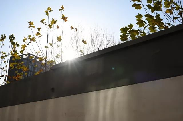 尼康z50最大光圈,尼康z501.8深度评测