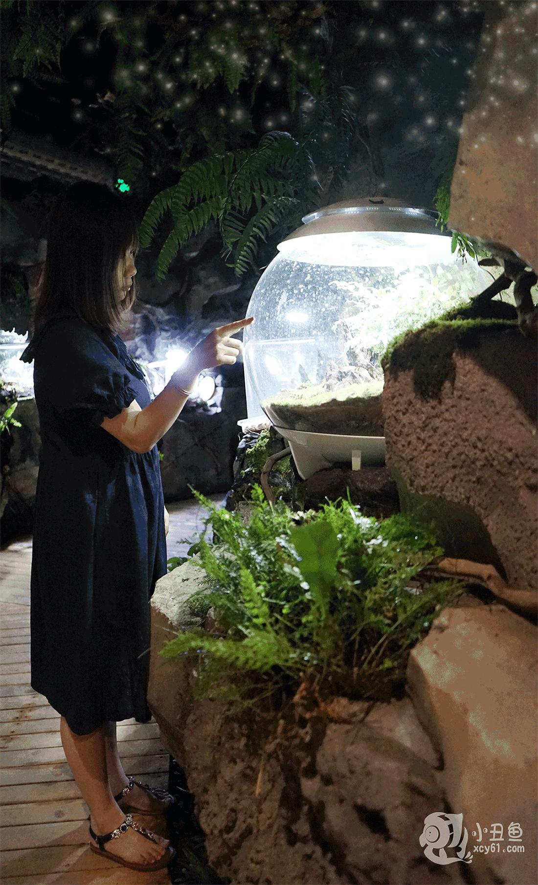 儿童玩的遛娃好去处,有动物的溜娃好去处