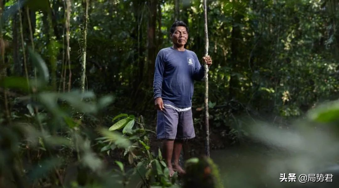 全球森林面积最低的国家排名,亚洲面积最大的人工红松森林