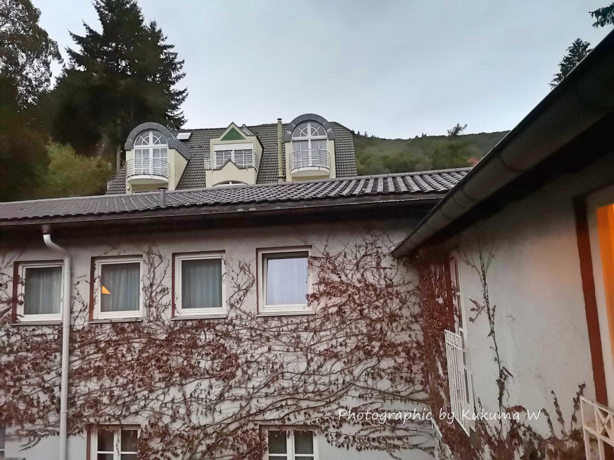 德国旅游住哪个酒店比较好,欧洲旅游住几钻酒店好