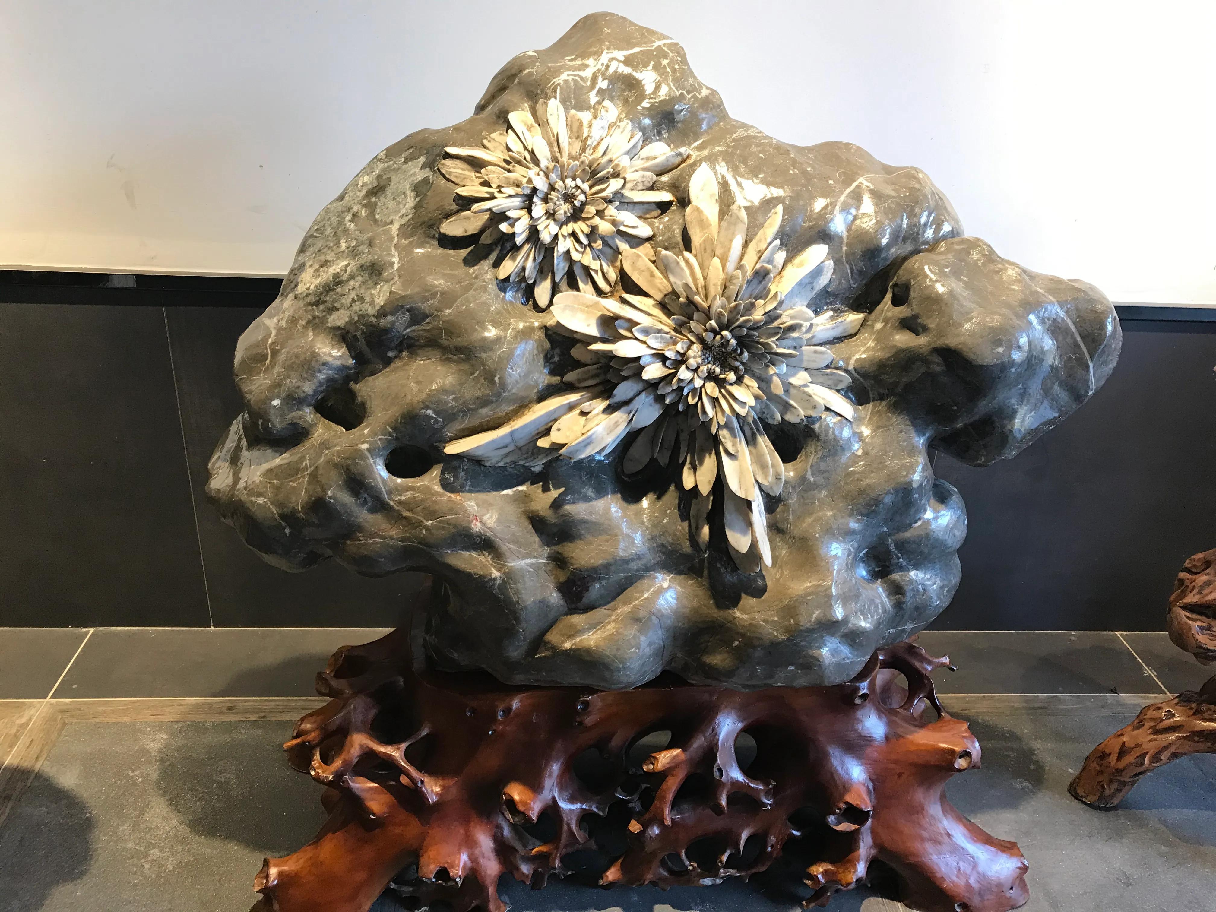 洋沙湖湿地公园游记,洋沙湖游记作文