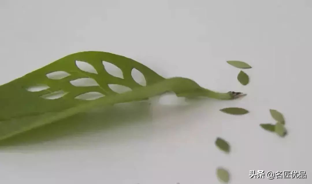 超惊艳的树叶手工,有趣的树叶手工制作