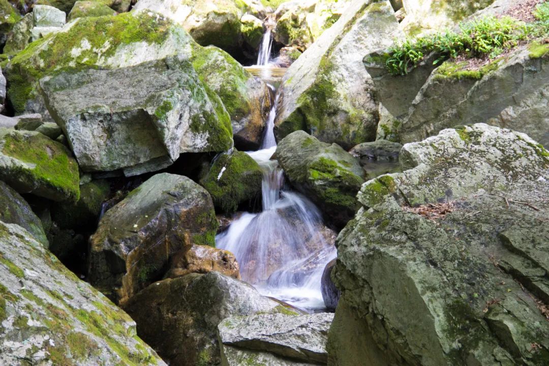 索道9公里,太平山索道80一个来回多久