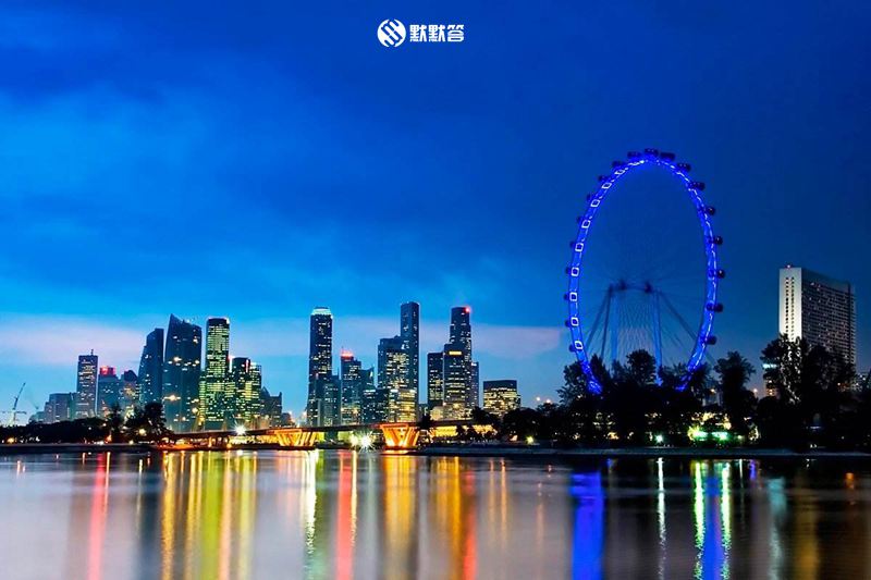 新加坡过境签入境流程,新加坡96小时过境签申请