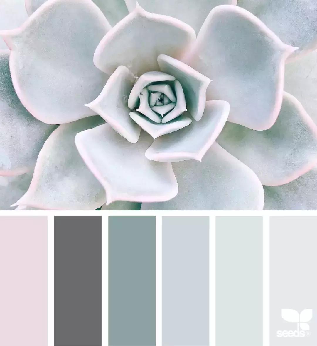 6种配色色卡,设计师最全万能配色色卡