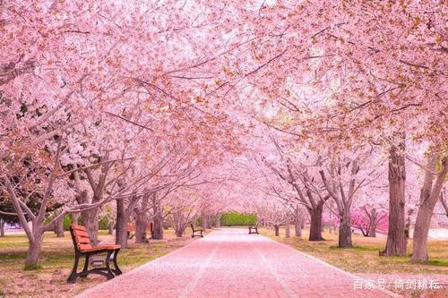 大连地铁沿线有哪些打卡景点,大连沿途的风景线