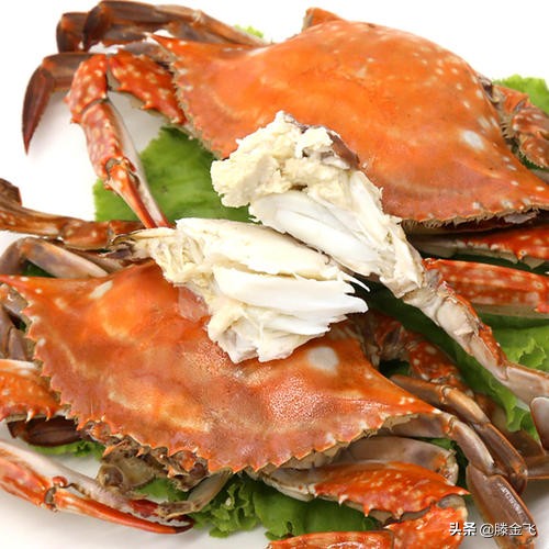 铻冭煿娉ㄦ按杈熻埃,铻冭煿琚笉灏忓績鏀炬按閲屼簡