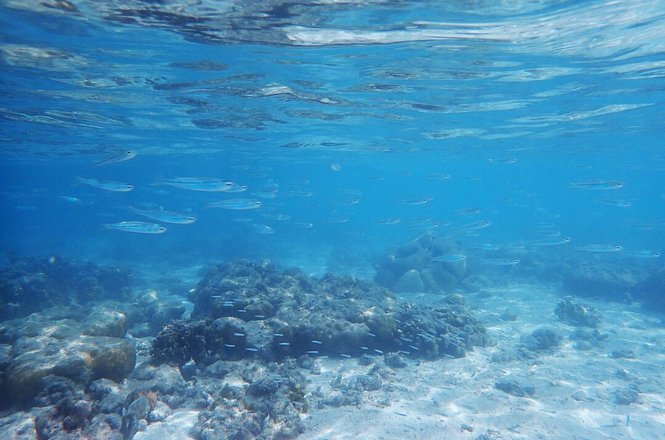 珠海一日游去哪玩,去珠海玩住哪里好
