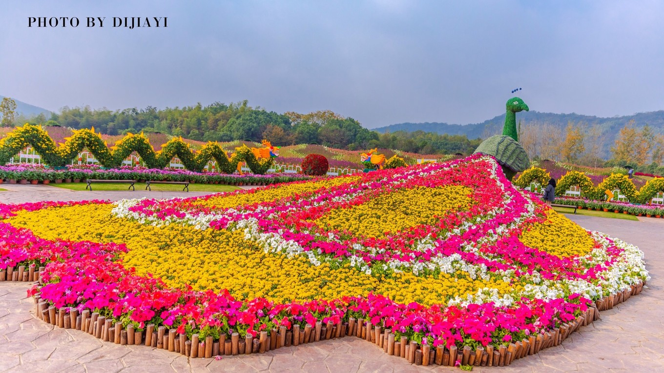 金坛花谷奇缘有什么地方值得打卡,金坛花谷奇缘赏花攻略