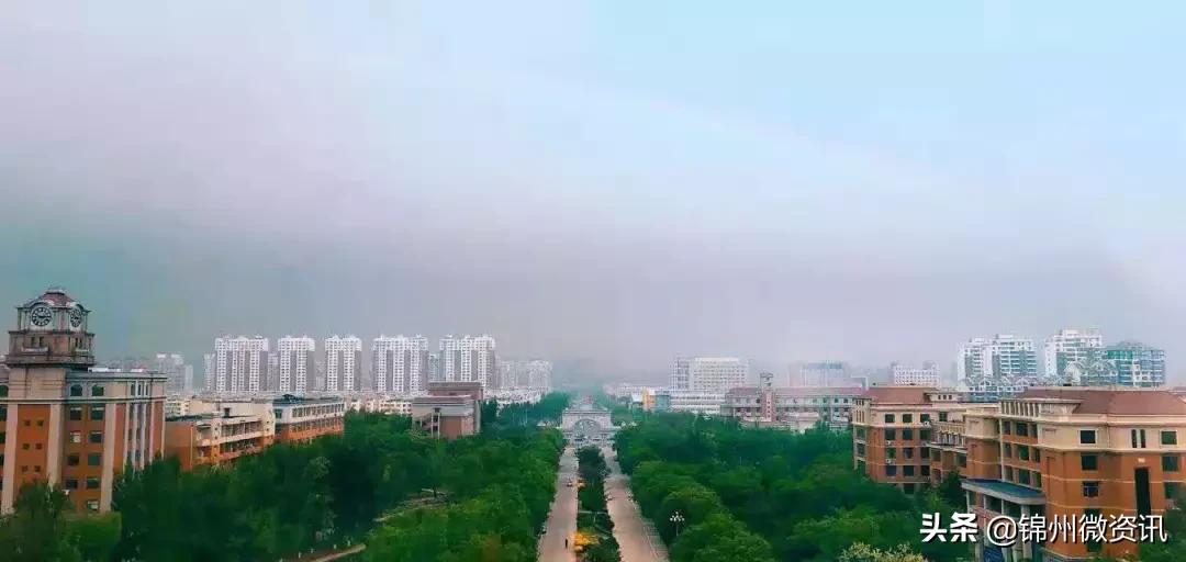 锦州渤海大学！全国最美大学之一！新入学的同学想知道的都在这里