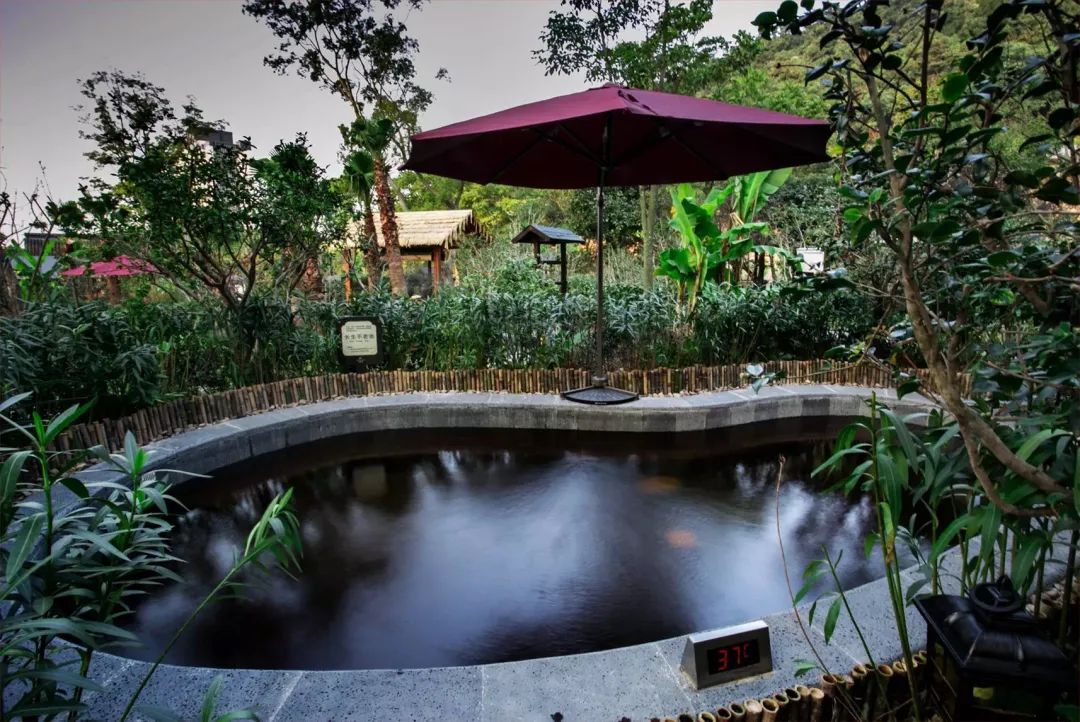 冬天九龙湖旅游攻略,冬天的九龙湖风景区图片