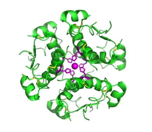 糖尿病注射胰岛素正确方法,糖尿病人打的胰岛素夏天怎么保管