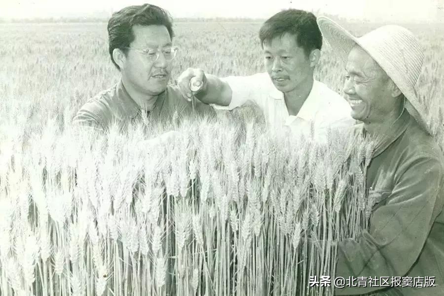 搜一搜就知道了,搜一搜商家会怎么样