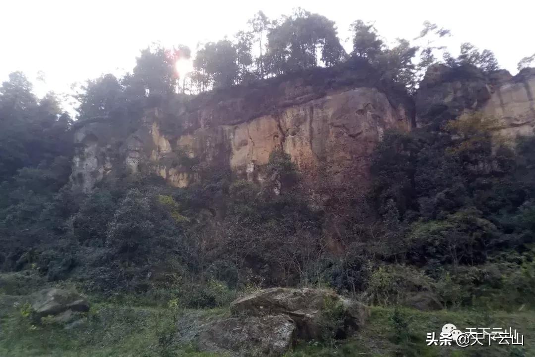 「微云山-知青故事50年」《云山松》（连载二）-文/王连方