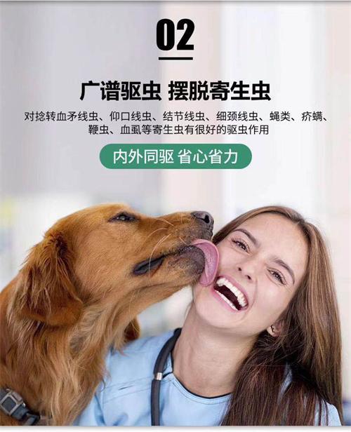 狗狗驱虫药怎么选？雷米高伊维菌素片助你一步到位