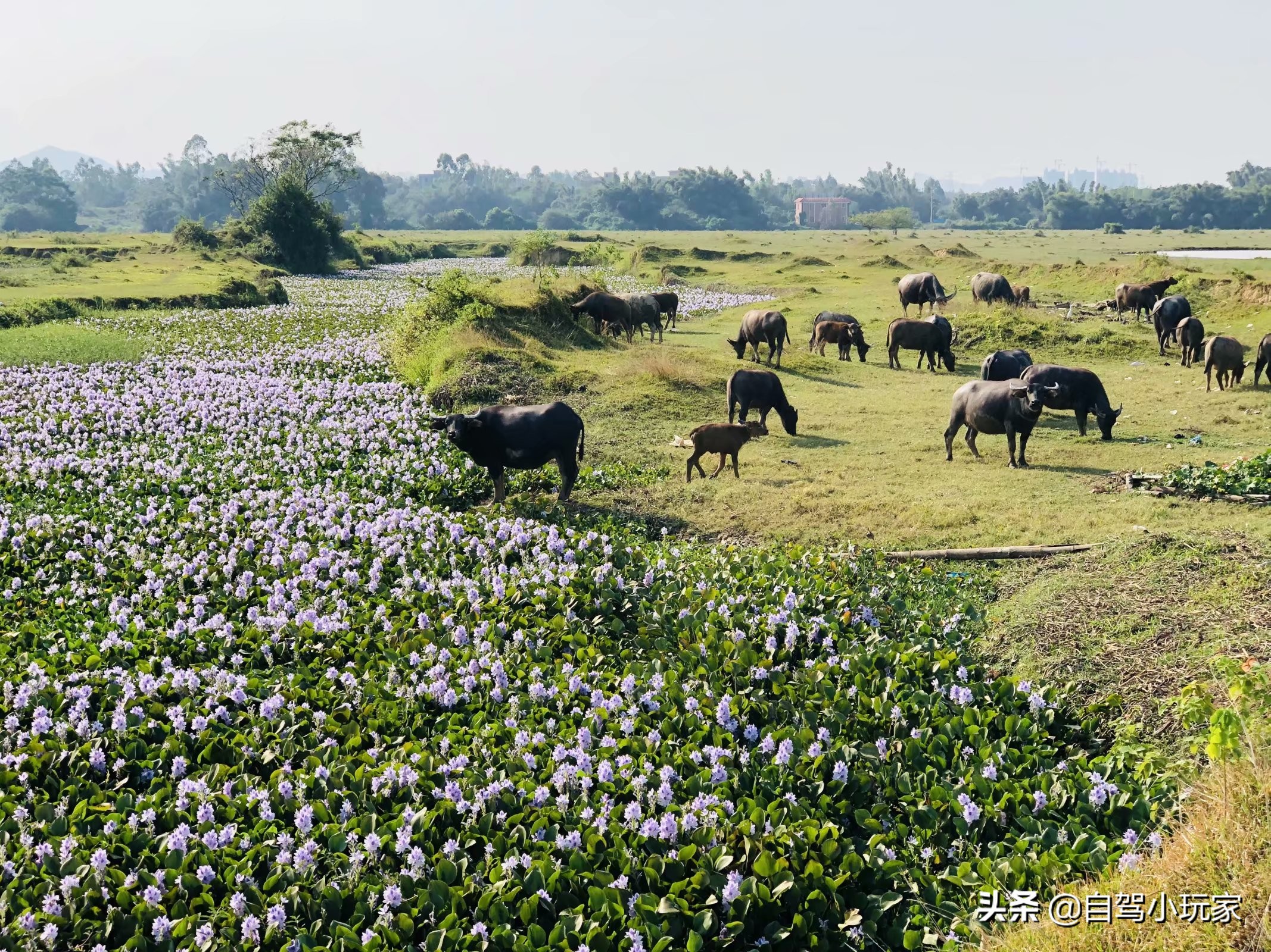 离深圳最近的野营地,深圳适合钓鱼露营的地方
