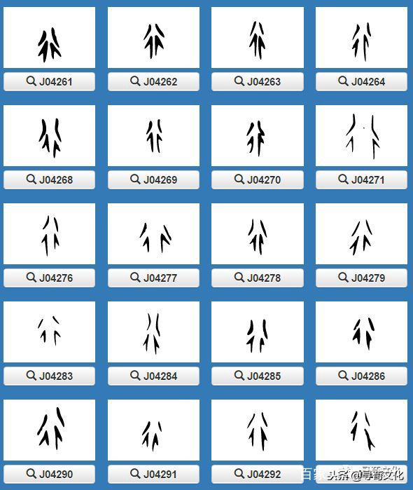百家姓中汉字起源,汉字起源与百家姓