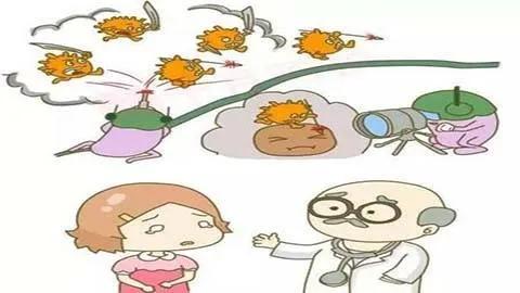 备孕一方有乙肝,孕检排除乙肝