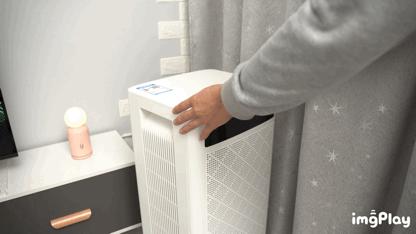 买空气净化器是不是交智商税,吸猫毛的空气净化器是智商税吗