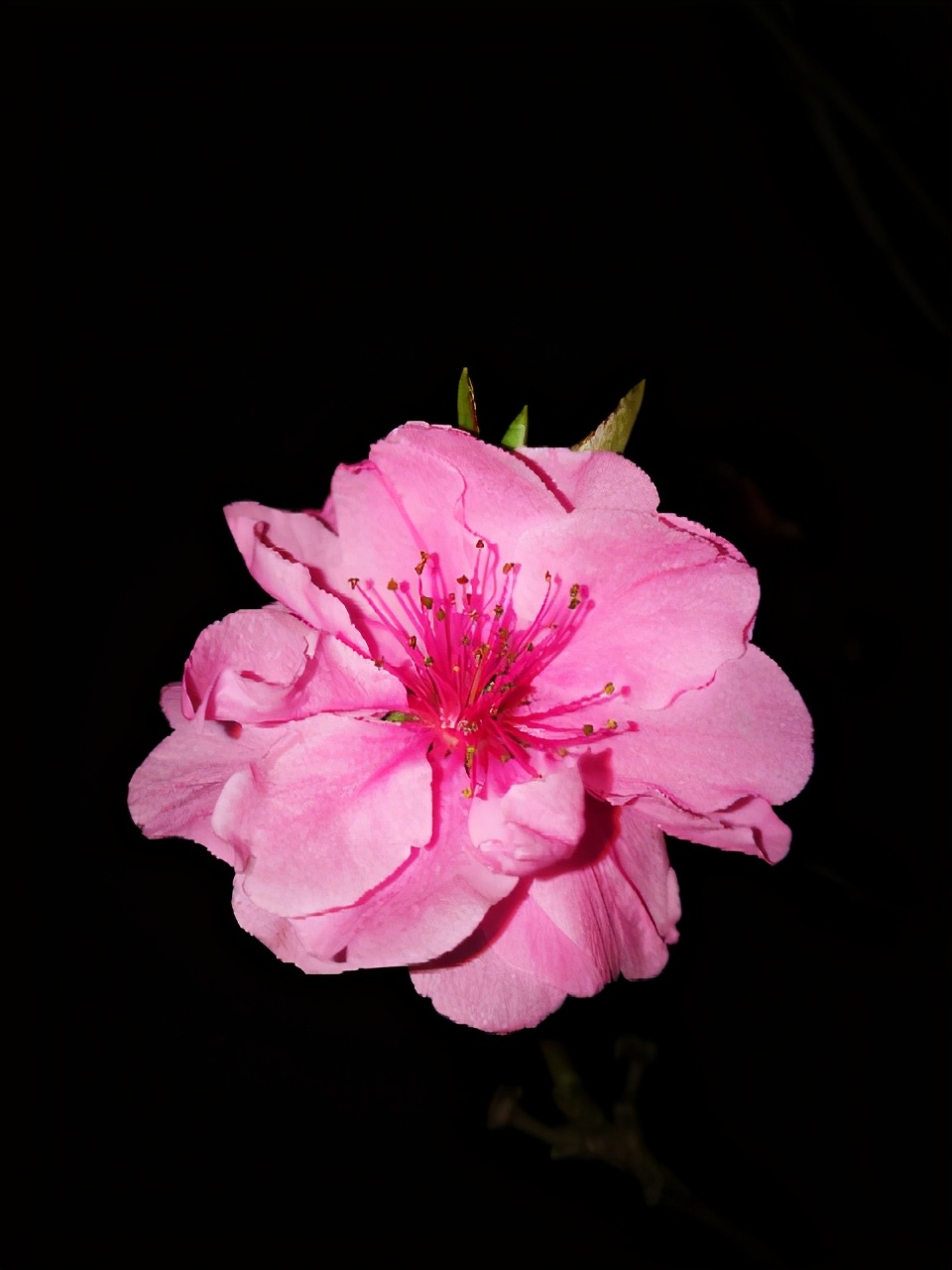 千人千面运营公司,千人千解值不值得投资