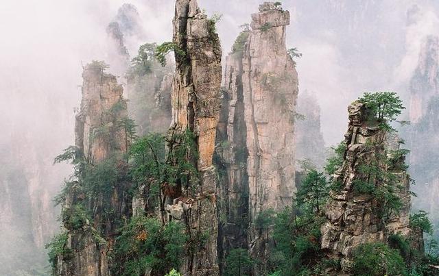 期货高手纯技术操作中长线心得,期货大局观