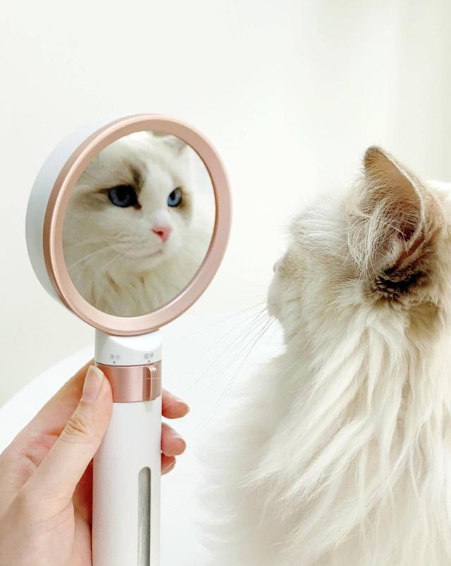 为什么科勒卫浴那么贵,科勒恒温花洒优点和缺点