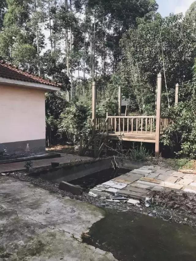 90后小伙花100万造房子,90后小伙花几千元装修500个平方