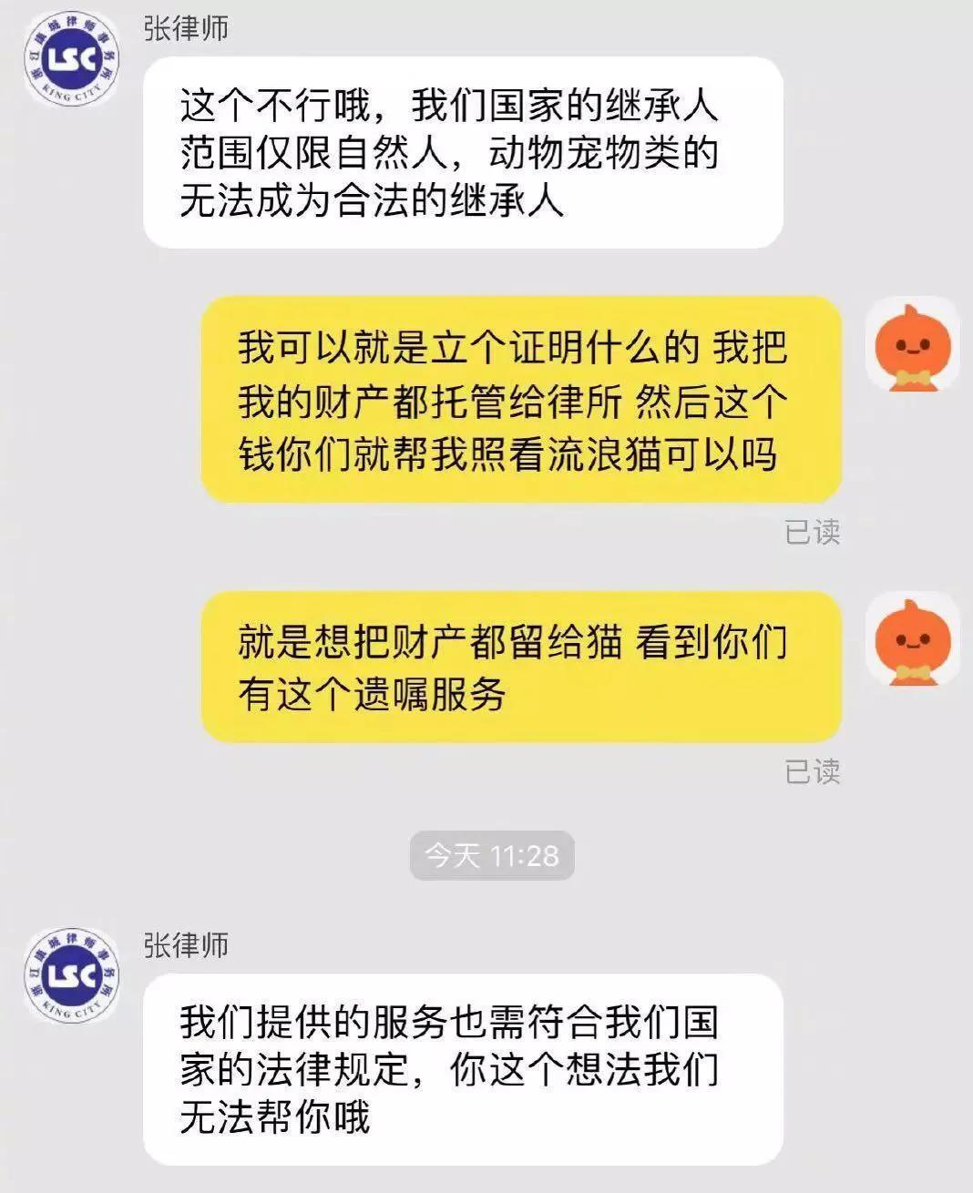 流浪猫突然暴富了,俄罗斯3只流浪猫