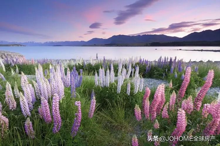 换护照后原来签证怎么办,护照已到期有效签证怎么办