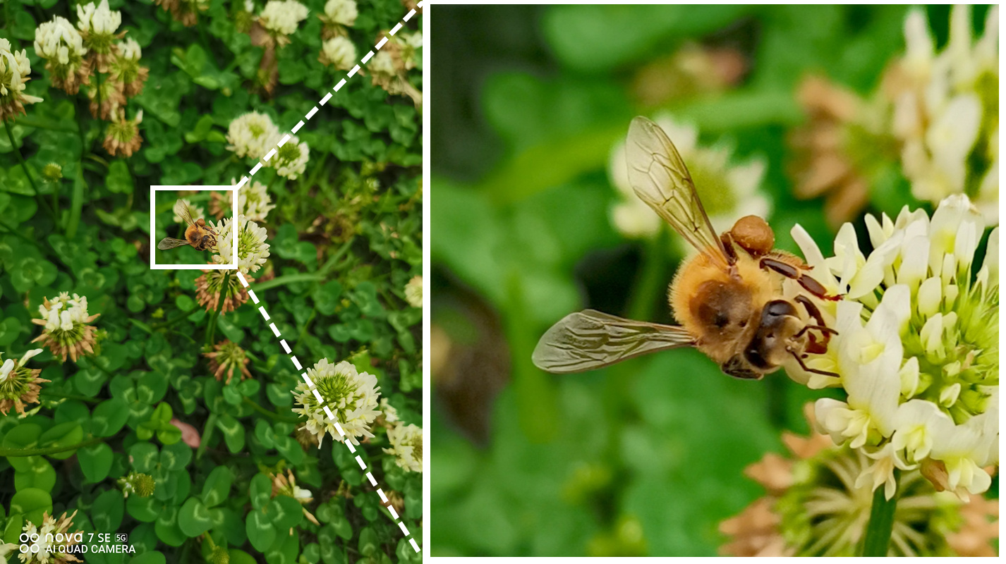 华为nova7se现在属于什么水平,2023年华为nova7se还值得入手吗