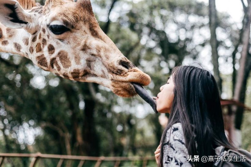 环游世界情侣,环游世界夫妻赚了十个亿