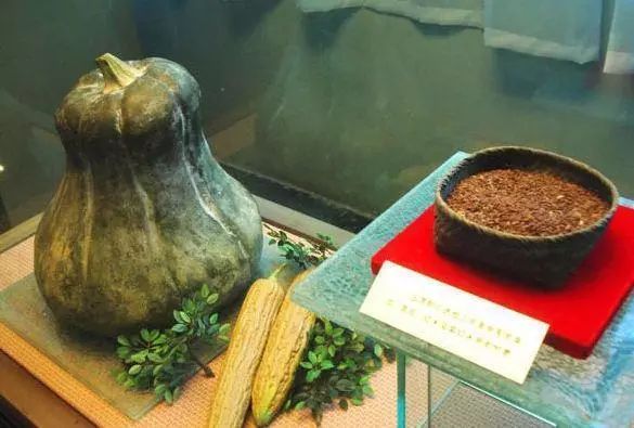 井冈山红米背后的故事,井冈山燎原的星星之火