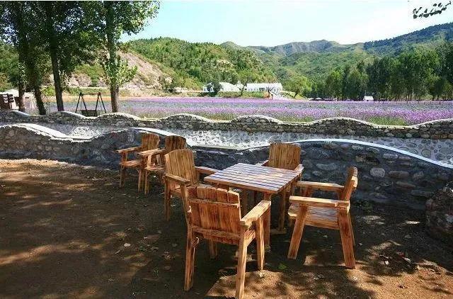 城郊休闲农业案例分享：“紫海香堤”多元创意组合模式