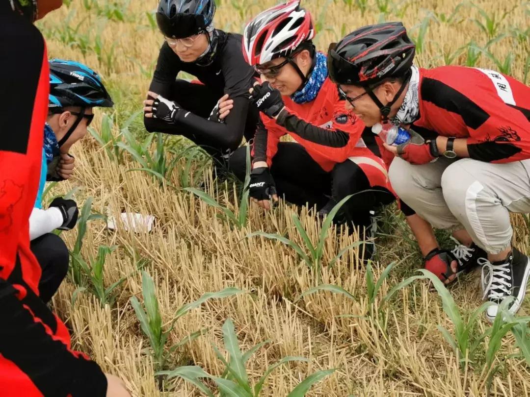 一个“疯老师”和11个“问题学生”的一场孤注一掷的冒险