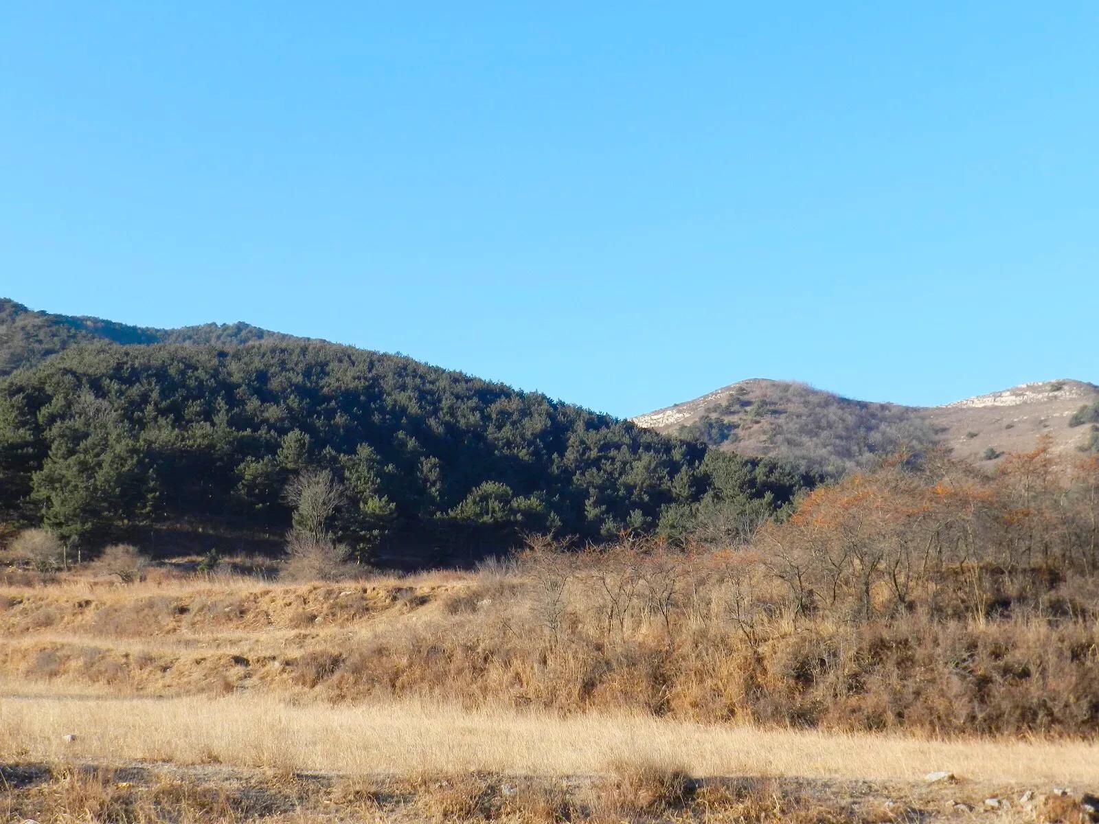在山里迷路遇到狐狸,在山里迷路遇到了好漂亮的小姑娘