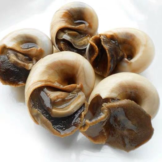 适合在学校吃的小零食推荐,适合学生的便宜饱腹零食推荐