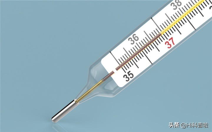 尸体在户外100天会发生什么变化,独居的人死在家里多久被发现