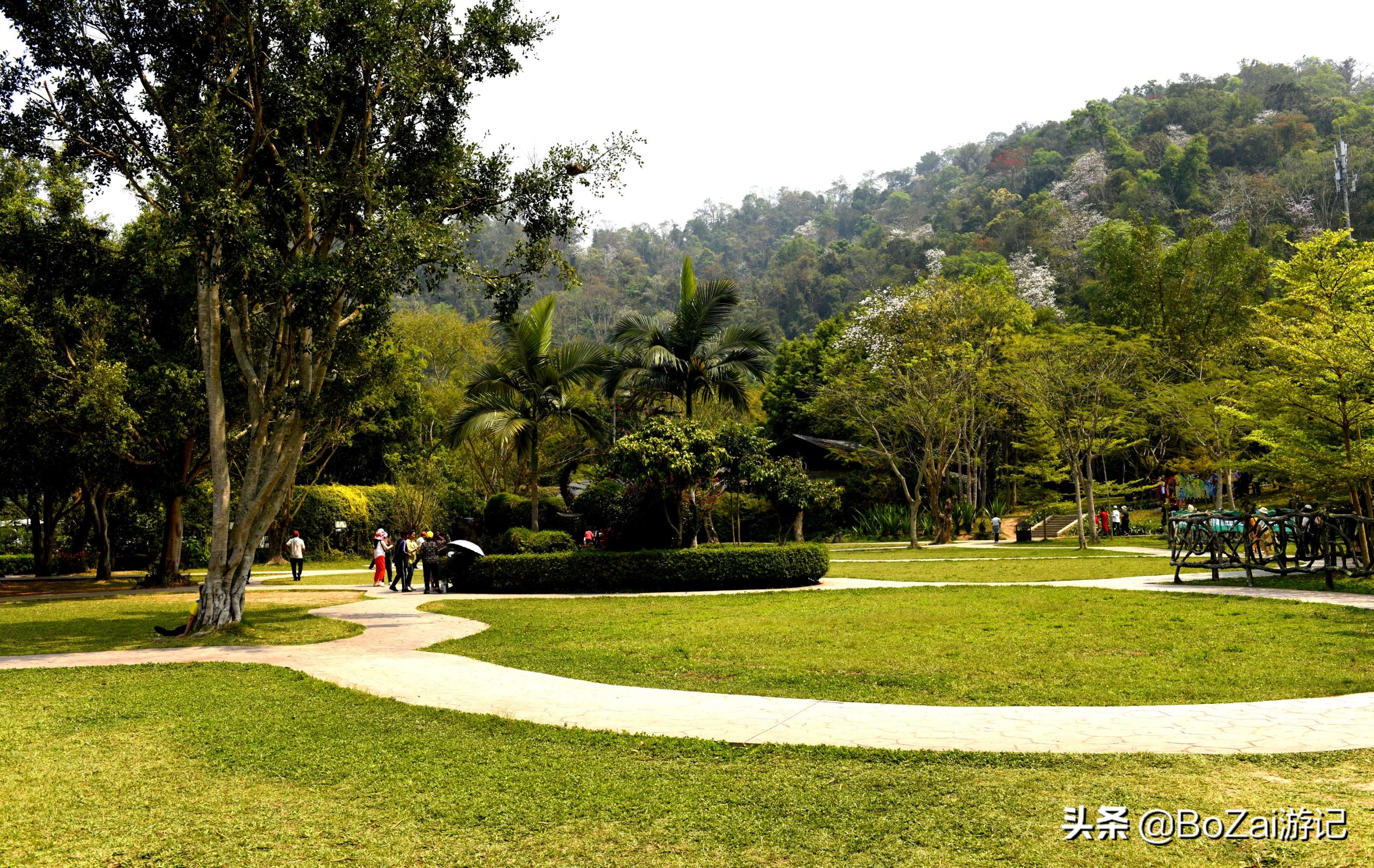 云南西双版纳到文山途经哪些景点,西双版纳适合6-12岁儿童的景点