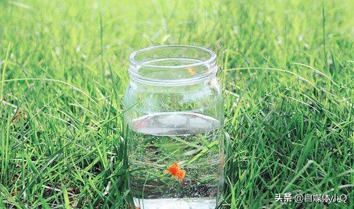 创业怎么借力或借势,创业如何才能借到钱