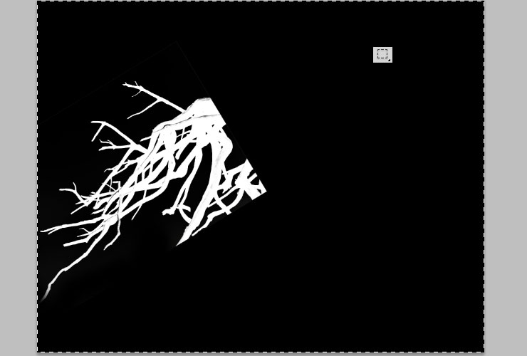 ps如何换花朵教程图解,ps怎么画枯萎的玫瑰