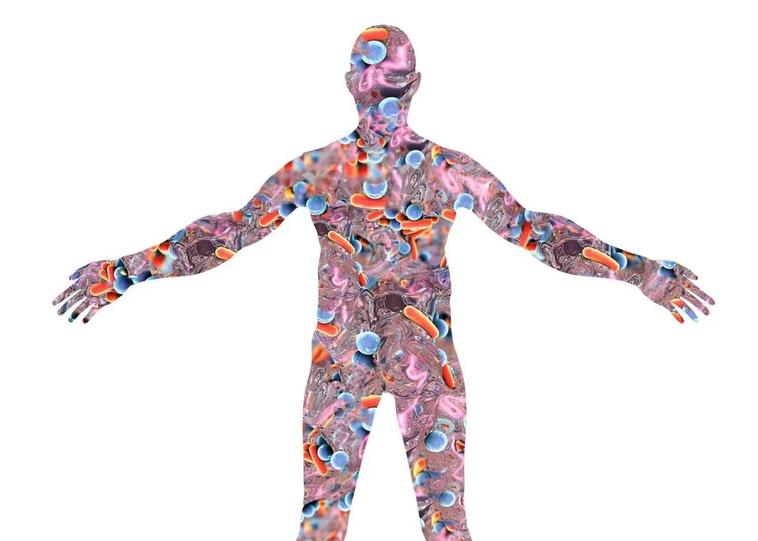 肠道菌群是如何影响食欲的,肠道菌群怎么影响大脑