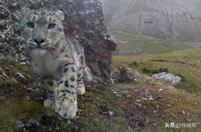 张掖的由来,什么是张掖