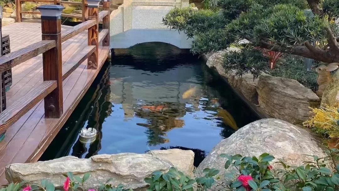 鱼池封碱后还要除碱吗,鱼池除碱最快最好的方法