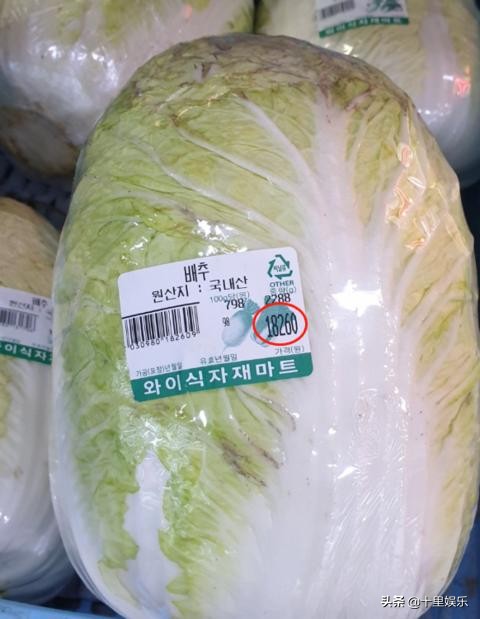 白菜一颗62元!韩国主妇腌泡菜计划泡汤,韩媒表示:这是吃钻石